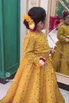 Rang O Aftab Mustard Lehenga Set
