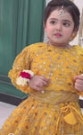 Rang O Aftab Mustard Lehenga Set