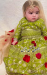 Rang O Aftab Pistachio Lehenga Set
