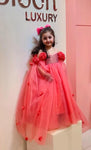 Hayat briar rose dress (PINK)