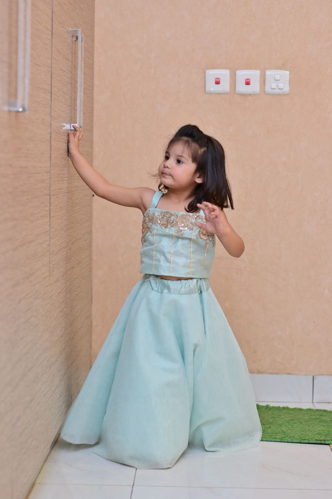 Amaya  lehenga set blue